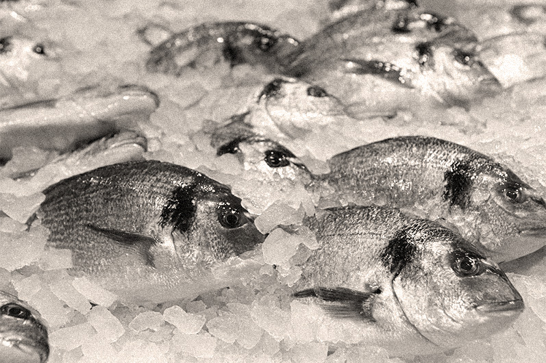 poisson sur glace pilée