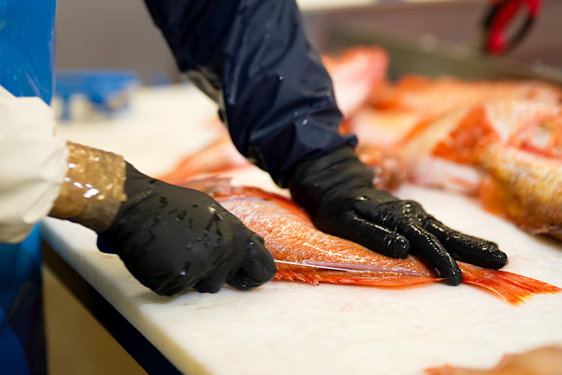 laboratoire leca marée