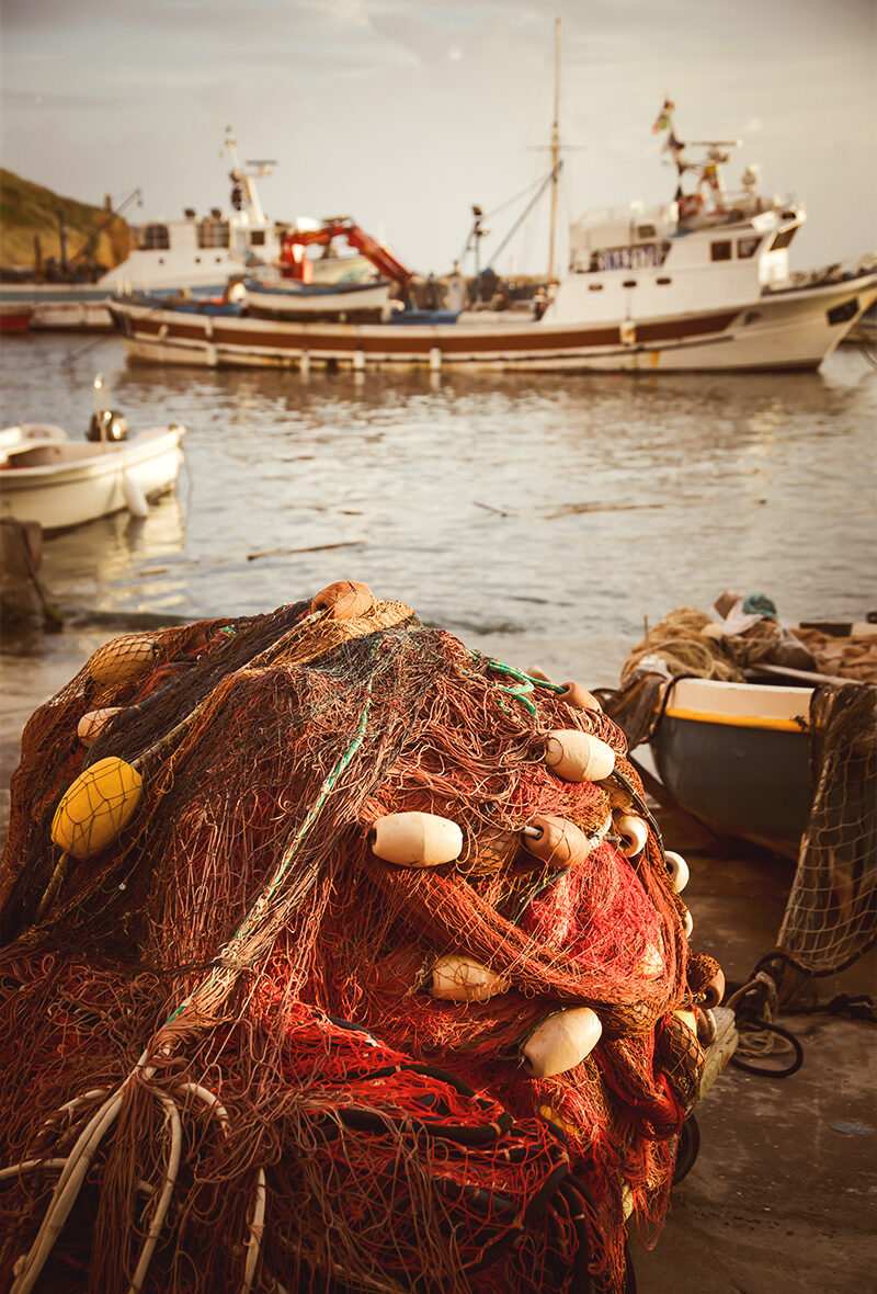 filets de peche responsable