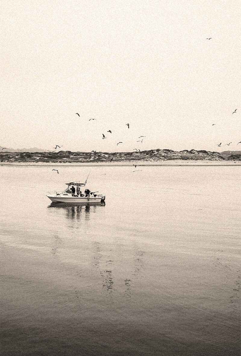 peche responsable leca marée