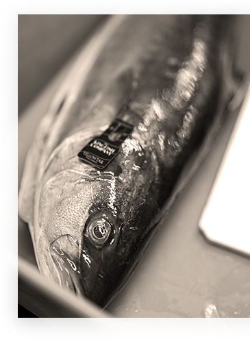 poisson leca marée