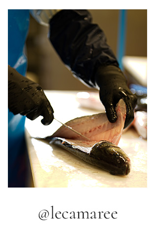 instagram leca marée