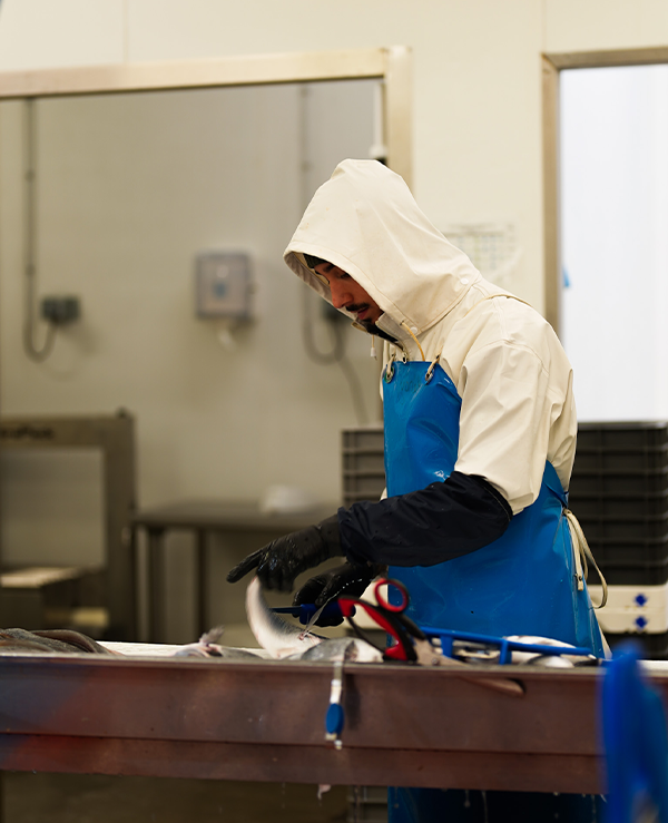 savoir faire LECA Marée